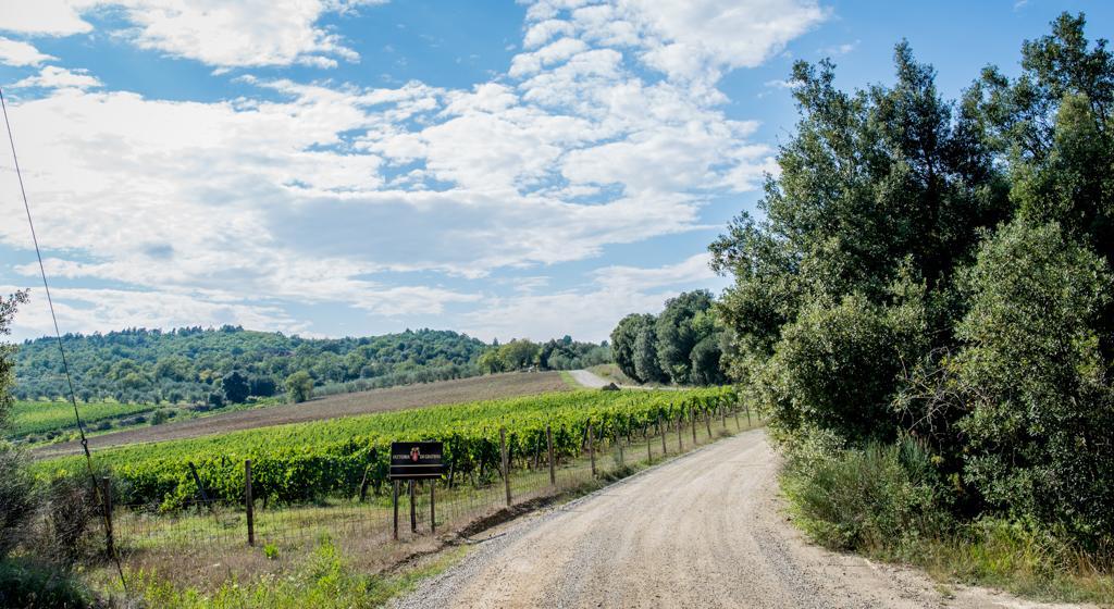 Agriturismo Fattoria Di Gratena Arezzo Ngoại thất bức ảnh
