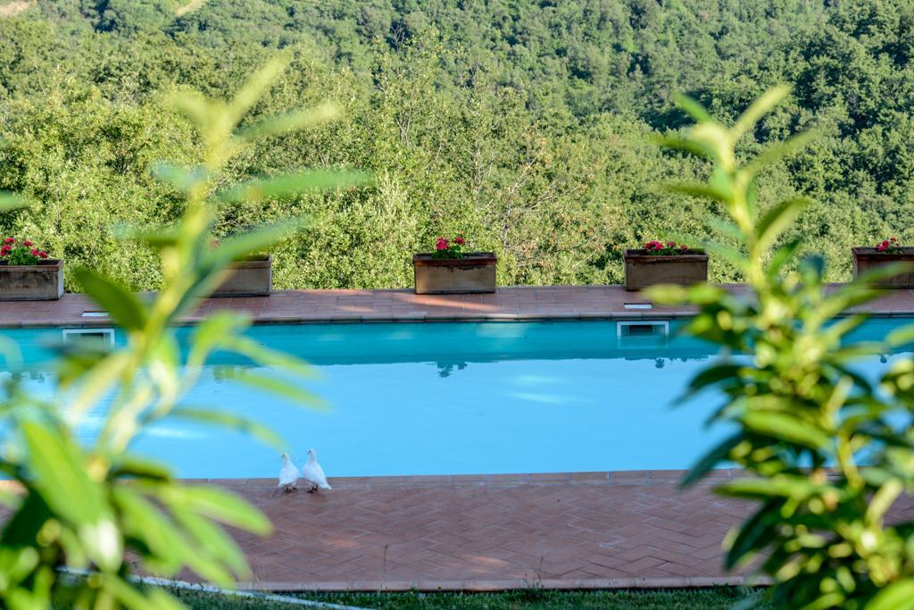Agriturismo Fattoria Di Gratena Arezzo Ngoại thất bức ảnh