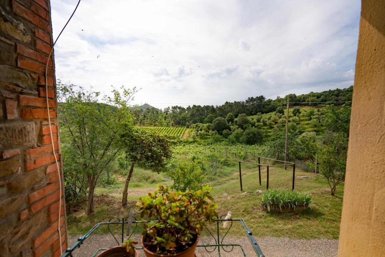 Agriturismo Fattoria Di Gratena Arezzo Ngoại thất bức ảnh