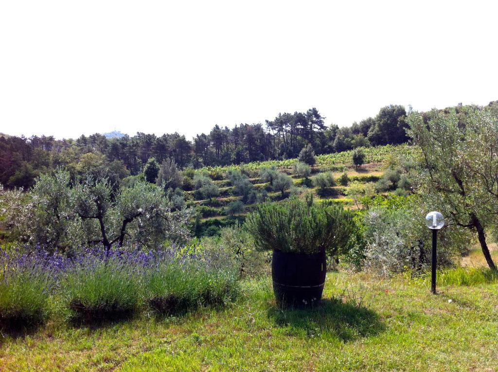Agriturismo Fattoria Di Gratena Arezzo Ngoại thất bức ảnh